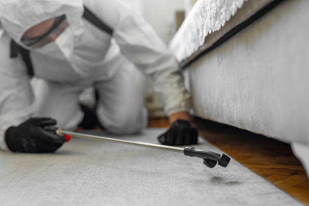 Professional Pest Control technician working in Harrison, WI