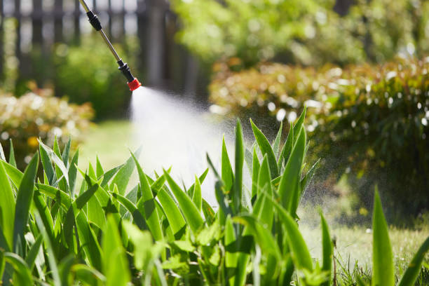 24/7 Emergency Pest Control experts in Harrison, WI